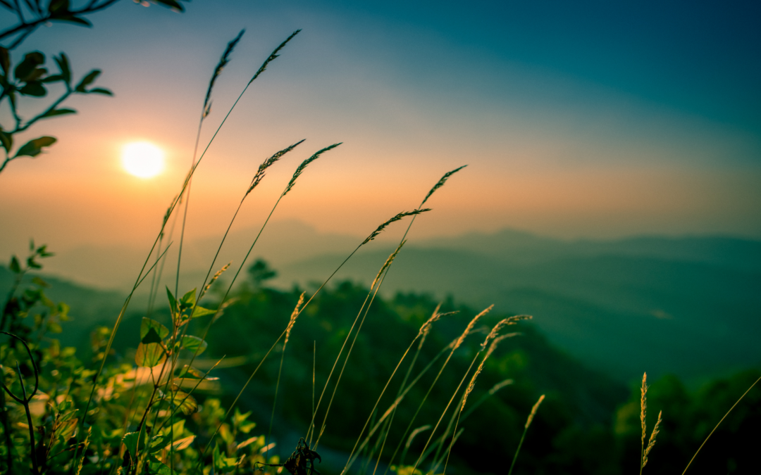 Nature!..feel, watch, listen