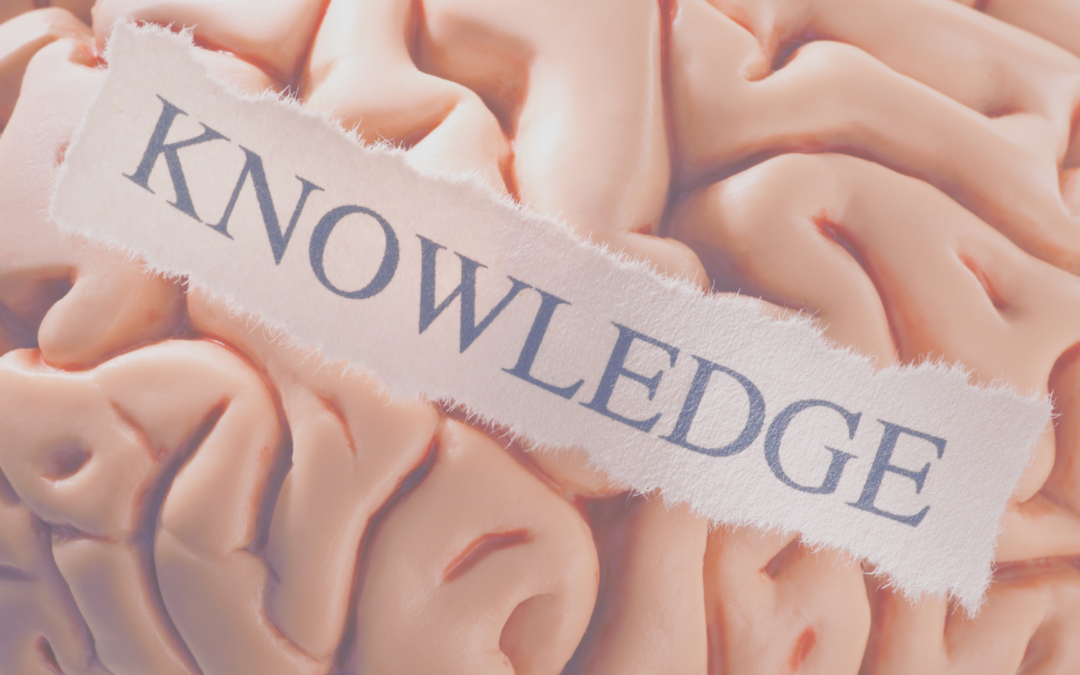 Breinkennis, get to know your brain!
