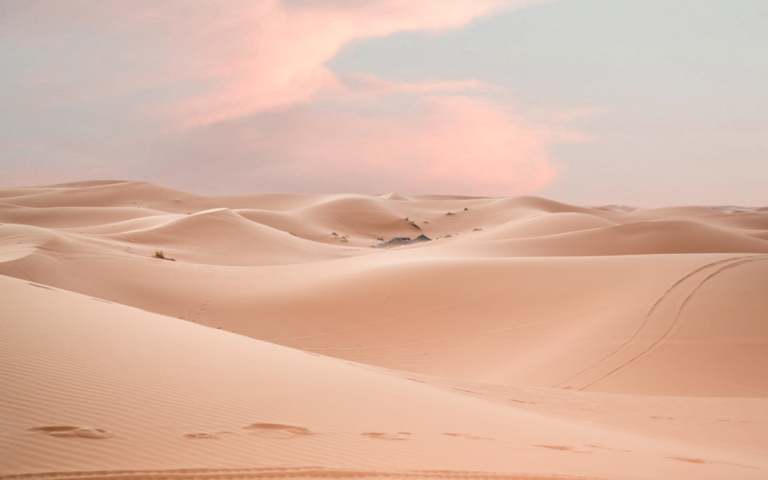 OFFLINE…in the desert